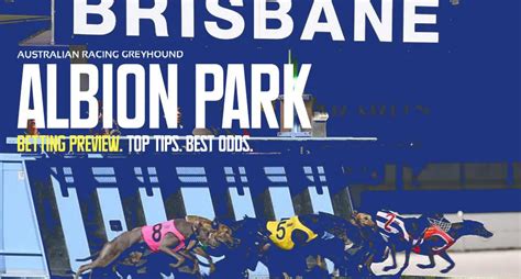 albion park greyhound fields|Albion Park Greyhound Racing .